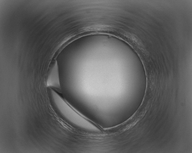 X0000082931073200702222213