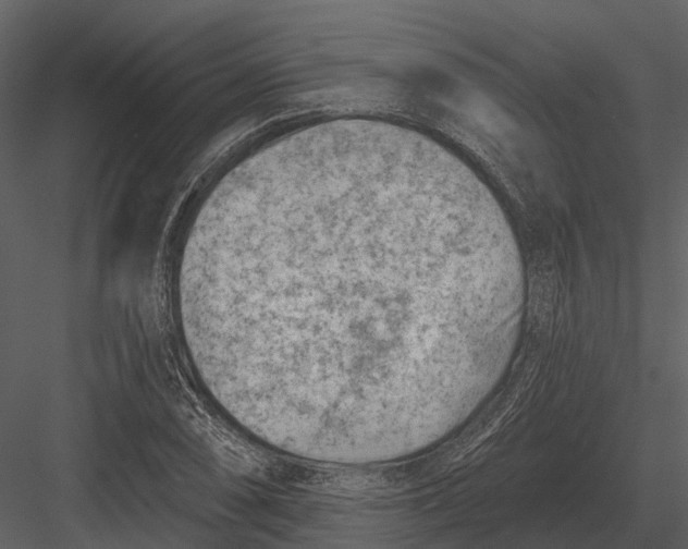 X0000082931074200702222213