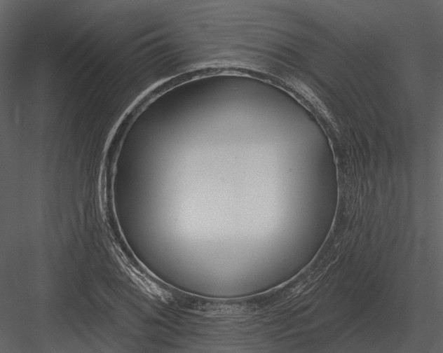 X0000082931076200702222213