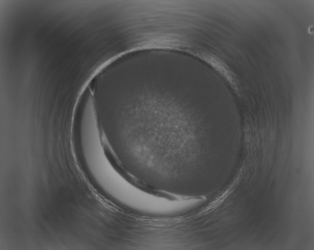 X0000082931077200702222213