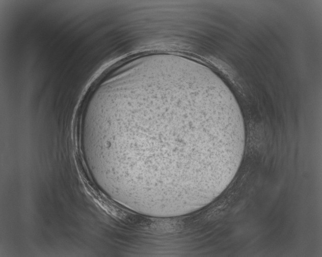 X0000082931078200702222213