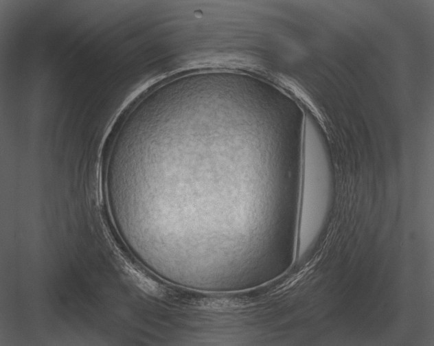 X0000082931079200702222213