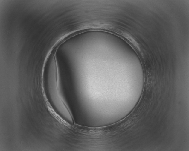 X0000082931080200702222213