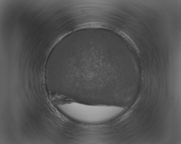 X0000082931081200702222213