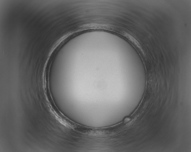 X0000082931082200702222213