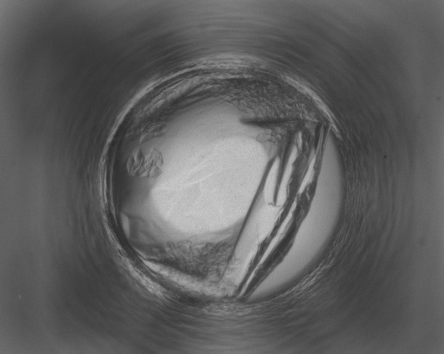 X0000082931083200702222213