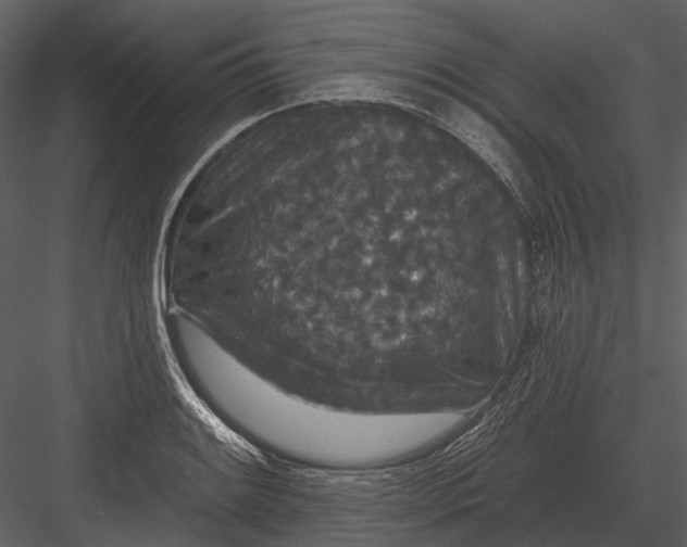 X0000082931084200702222213