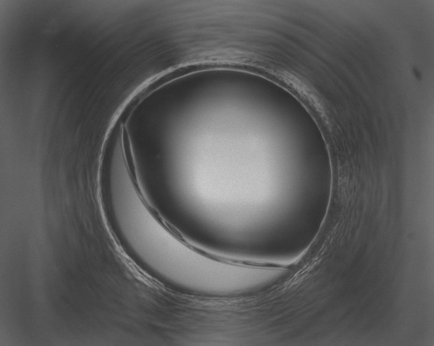 X0000082931085200702222213