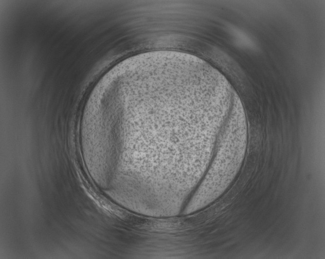 X0000082931086200702222213