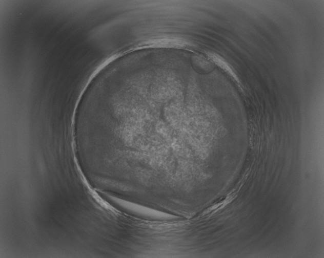 X0000082931087200702222213