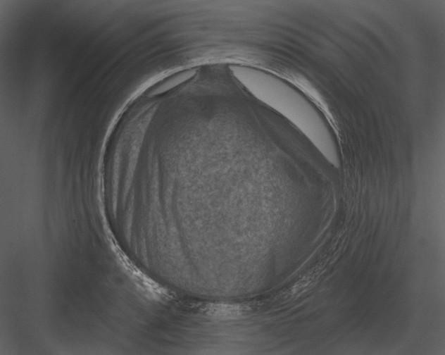 X0000082931088200702222213