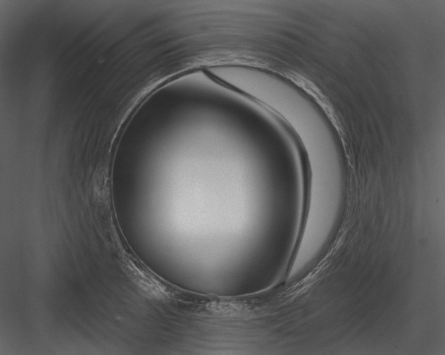 X0000082931089200702222213