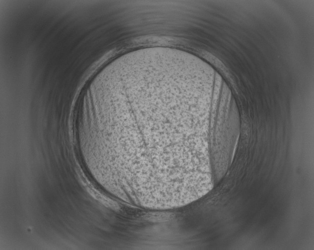 X0000082931090200702222213