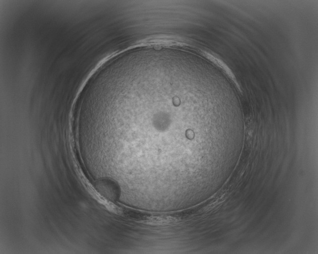 X0000082931091200702222213