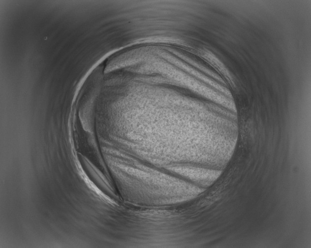 X0000082931092200702222213