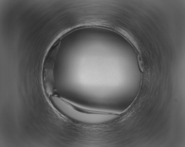 X0000082931093200702222213