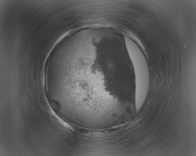 X0000082931095200702222213