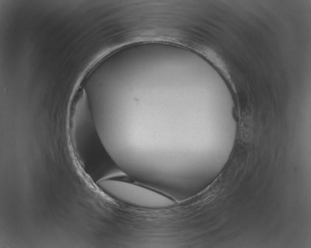 X0000082931096200702222213