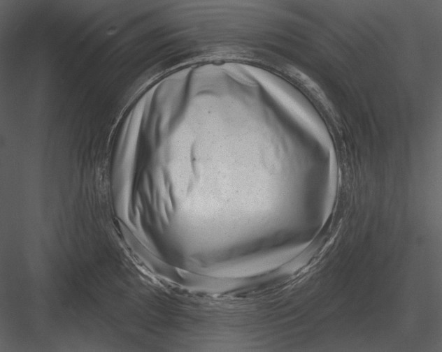 X0000082931097200702222213