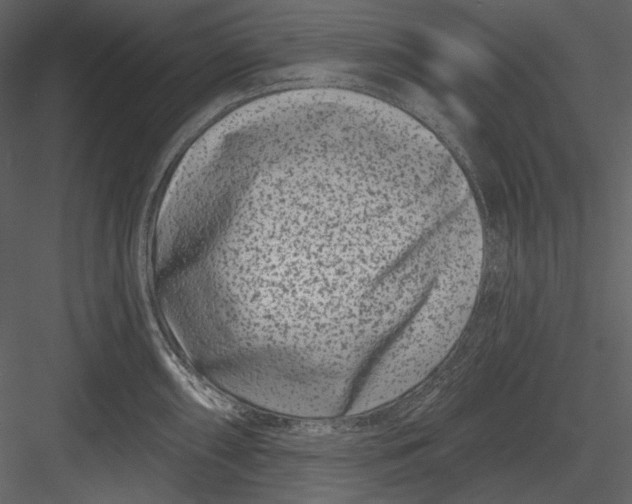 X0000082931098200702222213