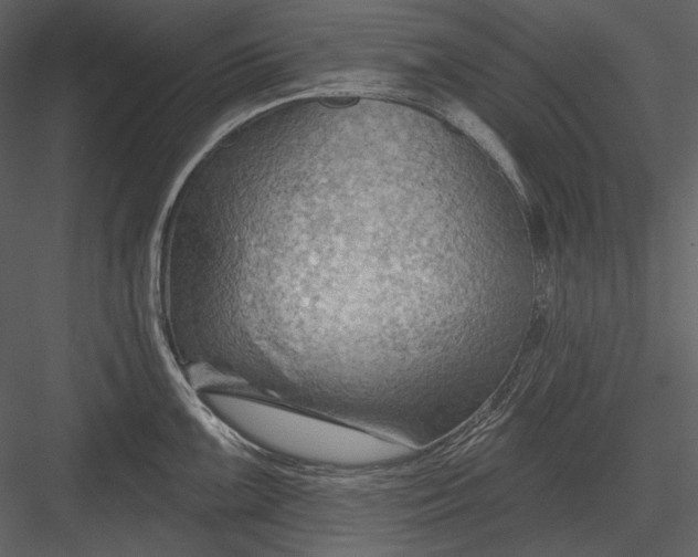 X0000082931099200702222213