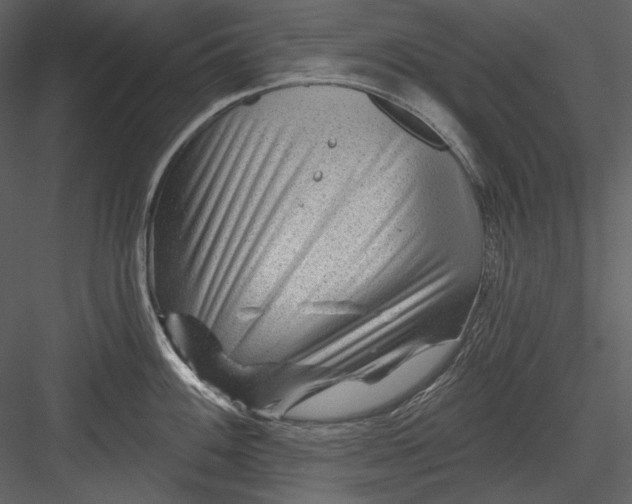 X0000082931100200702222213