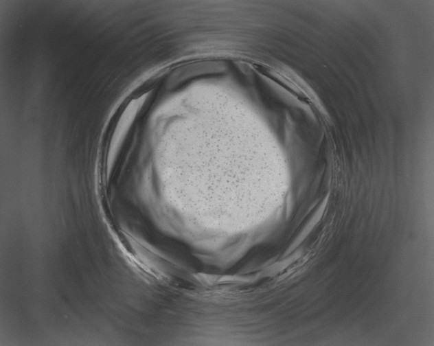 X0000082931101200702222213