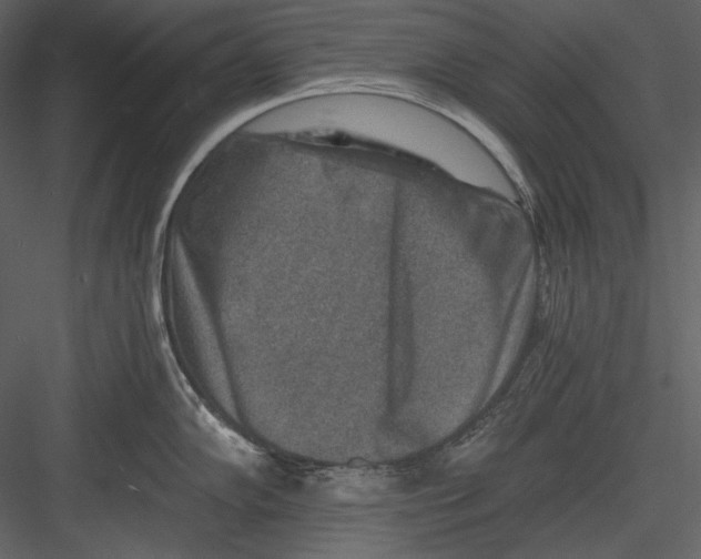 X0000082931102200702222213