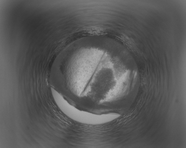 X0000082931106200702222212