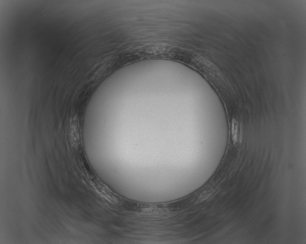 X0000082931107200702222212