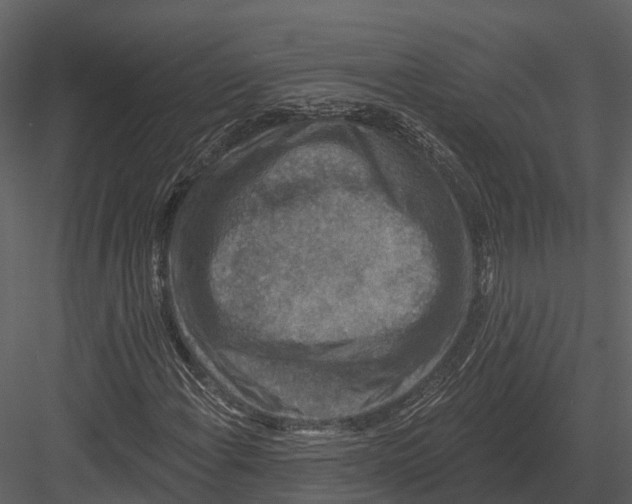 X0000082931108200702222212