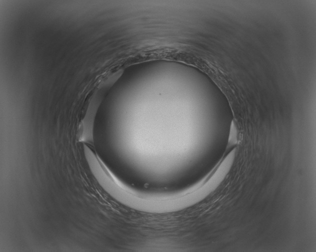 X0000082931109200702222212