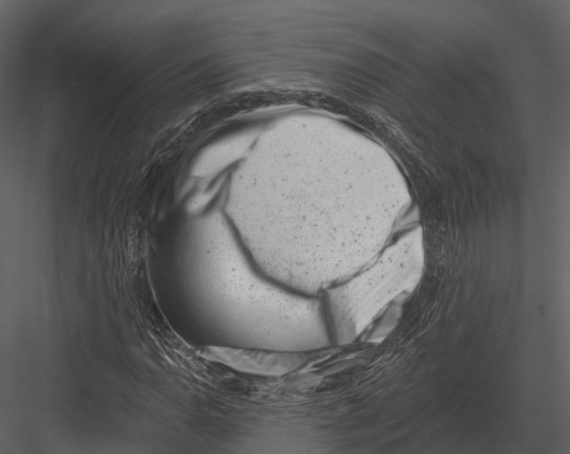 X0000082931110200702222212