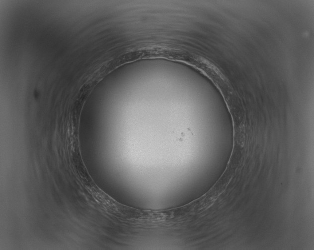 X0000082931111200702222212