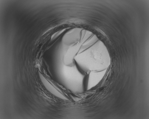 X0000082931112200702222212