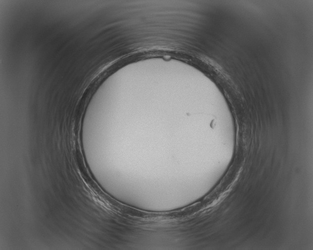 X0000082931113200702222212