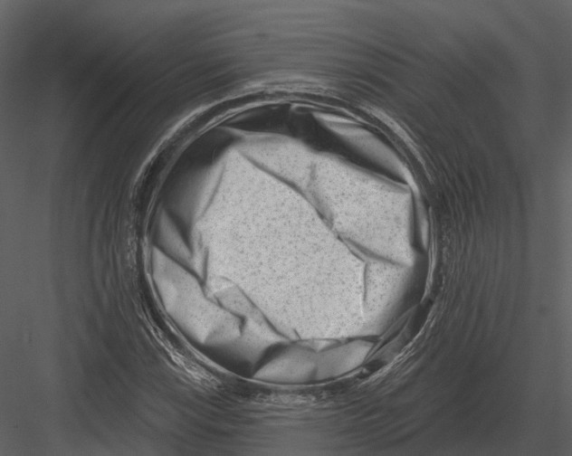 X0000082931115200702222212