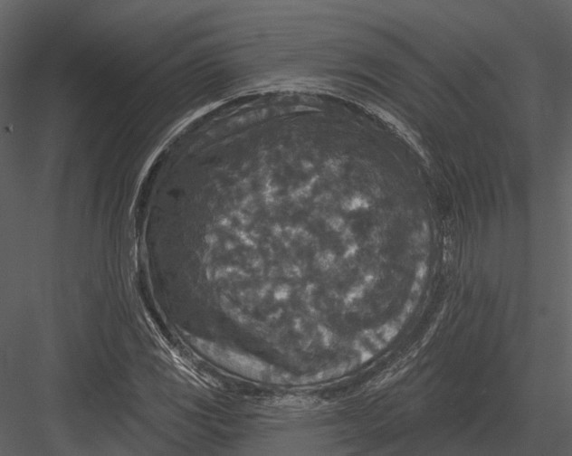 X0000082931117200702222212