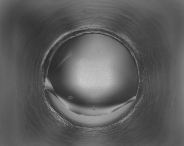 X0000082931118200702222212