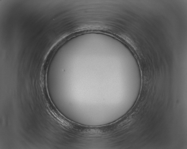 X0000082931119200702222212