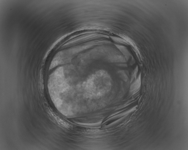 X0000082931120200702222212