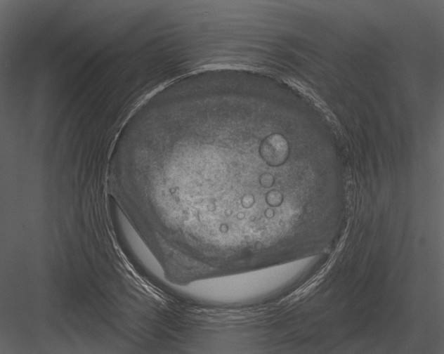 X0000082931121200702222212