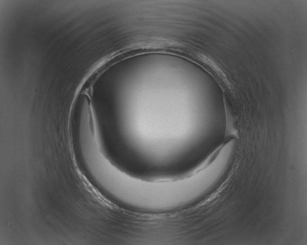 X0000082931122200702222212