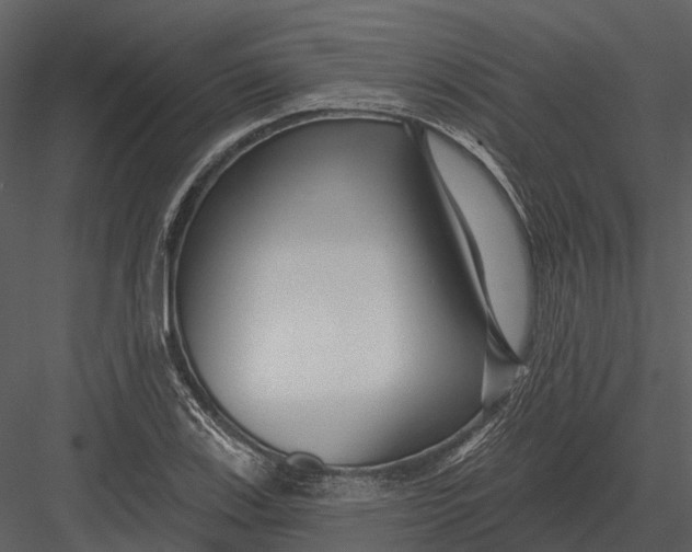 X0000082931123200702222212