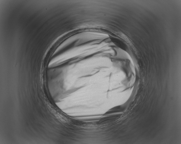 X0000082931124200702222212