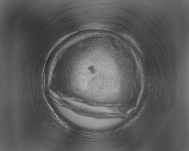 X0000082931125200702222212