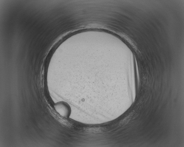 X0000082931126200702222212