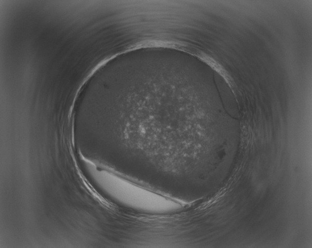 X0000082931127200702222212