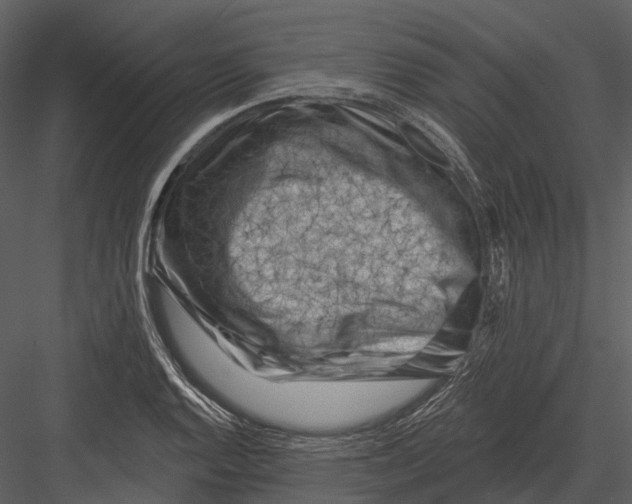 X0000082931128200702222212