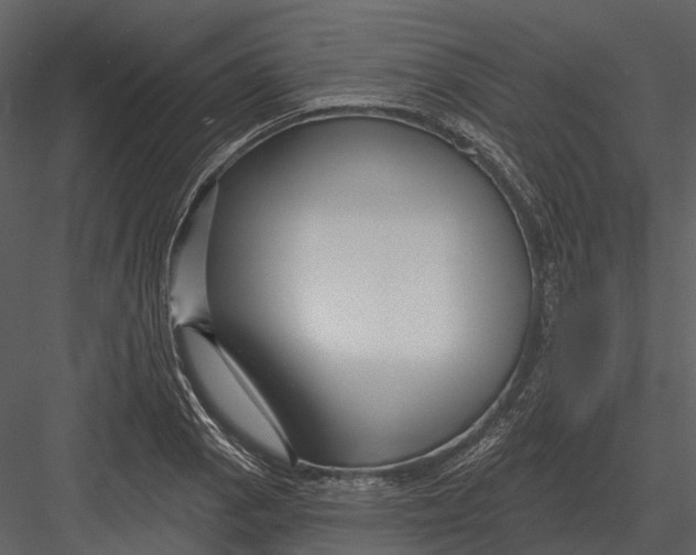 X0000082931129200702222212